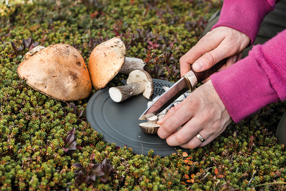 Trangia Multifunktionsbrett 25 Groß